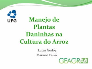 Lucas Godoy
Mariana Paiva
Manejo de
Plantas
Daninhas na
Cultura do Arroz
 