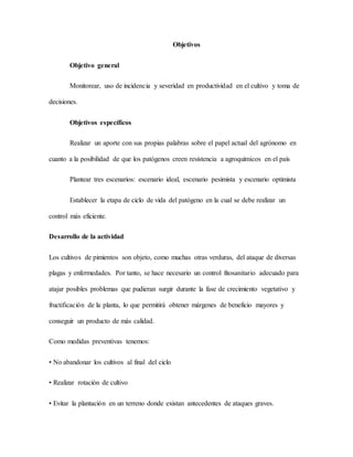 Objetivos
Objetivo general
Monitorear, uso de incidencia y severidad en productividad en el cultivo y toma de
decisiones.
Objetivos específicos
Realizar un aporte con sus propias palabras sobre el papel actual del agrónomo en
cuanto a la posibilidad de que los patógenos creen resistencia a agroquímicos en el país
Plantear tres escenarios: escenario ideal, escenario pesimista y escenario optimista
Establecer la etapa de ciclo de vida del patógeno en la cual se debe realizar un
control más eficiente.
Desarrollo de la actividad
Los cultivos de pimientos son objeto, como muchas otras verduras, del ataque de diversas
plagas y enfermedades. Por tanto, se hace necesario un control fitosanitario adecuado para
atajar posibles problemas que pudieran surgir durante la fase de crecimiento vegetativo y
fructificación de la planta, lo que permitirá obtener márgenes de beneficio mayores y
conseguir un producto de más calidad.
Como medidas preventivas tenemos:
• No abandonar los cultivos al final del ciclo
• Realizar rotación de cultivo
• Evitar la plantación en un terreno donde existan antecedentes de ataques graves.
 