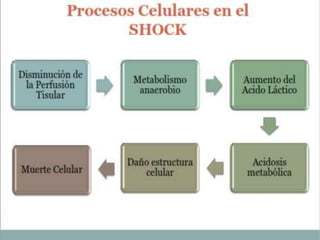 Manejo enfermero del paciente con shock hipovolemico | PPTX