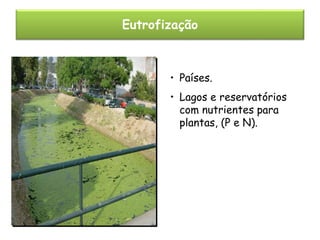 Eutrofização

• Países.
• Lagos e reservatórios
com nutrientes para
plantas, (P e N).

 