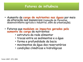 Fatores de influência
• Aumento de carga de nutrientes nas águas por meio
da alteração nos mananciais (remoção de florestas,
desenvolvimento agrícola e industrial, além da urbanização).

• Fatores que modulam os impactos gerados pelo
aumento da carga de nutrientes:
• estrutura da rede alimentar
• trocas entre os sedimentos e a água
• forma e profundidade da bacia
• movimentos da água dos reservatórios
• condições climáticas e hidrológicas

Fonte: UNEP - IETC, 2001

 