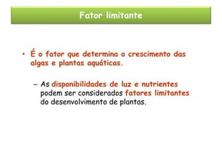 Fator limitante

• É o fator que determina o crescimento das
algas e plantas aquáticas.
– As disponibilidades de luz e nutrientes
podem ser considerados fatores limitantes
do desenvolvimento de plantas.

 