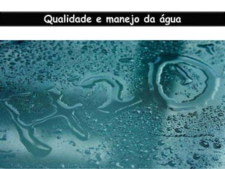 Qualidade e manejo da água

 
