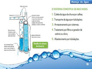 Manejo da água

 