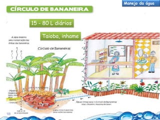 Manejo da água

15 - 80 L diários
Taioba, inhame

 