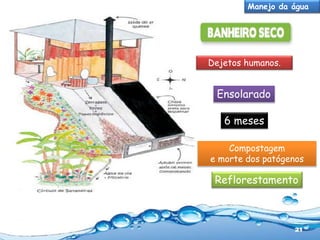 Manejo da água

Dejetos humanos.

Ensolarado
6 meses
Compostagem
e morte dos patógenos

Reflorestamento

 