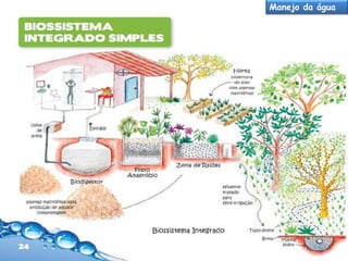 Manejo da água

 