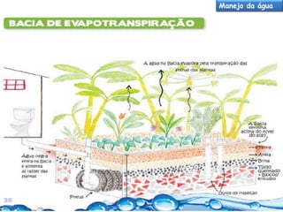 Manejo da água

 
