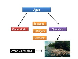 Água

Escassez

Quantidade

Estiagem
Escassez

OMS= 25 milhões

Qualidade

 