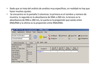• Dado que se trata del análisis de analitos muy específicos, en realidad no hay que
hacer muchos ajustes.
• Se encuentra en la pantalla 5 columnas: la primera es el nombre y número de
muestra, la segunda es la absorbancia de DNA a 260 nm, la tercera es la
absorbancia de RNA a 280 nm, la cuarta es la proporción que existe entre
DNA/RNA y la última es la proporción entre RNA/DNA.

 
