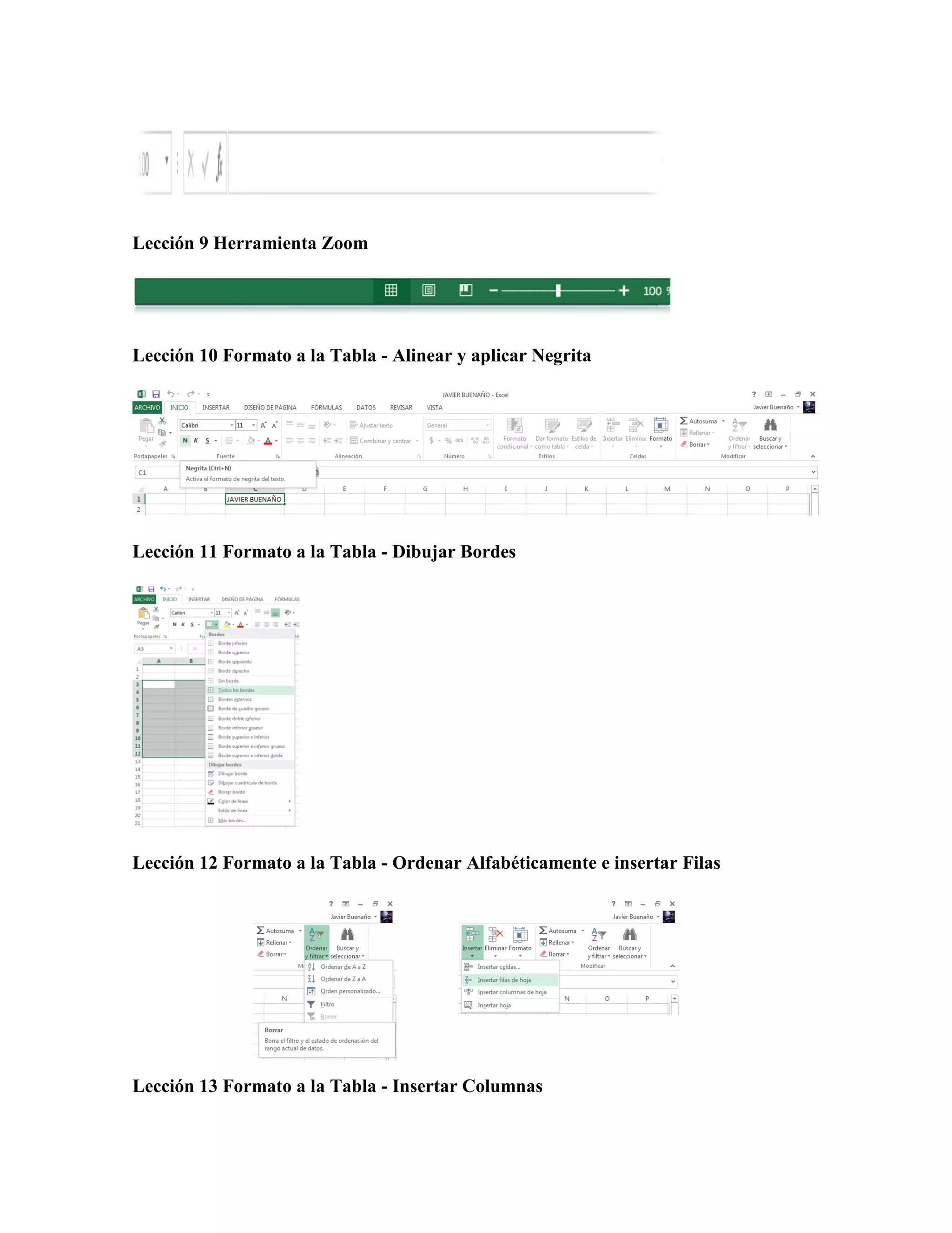 Lección 9 Herramienta Zoom
Lección 10 Formato a la Tabla - Alinear y aplicar Negrita
Lección 11 Formato a la Tabla - Dibujar Bordes
Lección 12 Formato a la Tabla - Ordenar Alfabéticamente e insertar Filas
Lección 13 Formato a la Tabla - Insertar Columnas
 