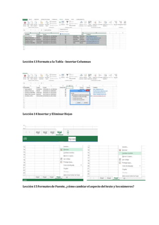 Lección13Formato a la Tabla - InsertarColumnas
Lección14Insertar y EliminarHojas
Lección15Formatosde Fuente, ¿cómo cambiarel aspecto del texto y losnúmeros?
 