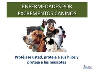 ENFERMEDADES POR
 EXCREMENTOS CANINOS




Protéjase usted, proteja a sus hijos y
       proteja a las mascotas
 