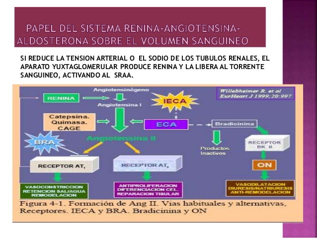 Un pequeño pecho de la muchacha el relato