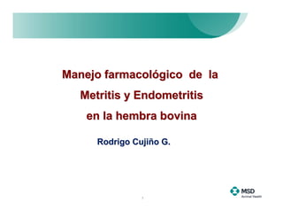 Manejo farmacológico de la
   Metritis y Endometritis
    en la hembra bovina

      Rodrigo Cujiño G.




                1
 