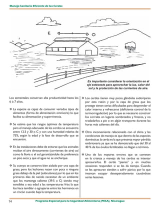 Manejo Sanitario Eficiente de los Cerdos




                                                             Es importante considerar la orientación en el
                                                             eje esteoeste para aprovechar la luz, calor del
                                                              sol y la protección de las corrientes de aire.


Los sementales conservan alta productividad hasta los  Los cerdos tienen muy pocas glándulas sudoríparas
6 ó 7 años.                                                por esta razón y por la capa de grasa que los
                                                           protege tienen serias dificultades para desprender el
 La especie es capaz de consumir variados tipos de        calor interno y refrescarse (deficiente control de la
   alimentos (forma de alimentación omnívora) lo que       termorregulación) por lo que es necesario construir
   facilita su alimentación y supervivencia.               los corrales en lugares sombreados y frescos, y no
                                                           trasladarlos a pie o en algún transporte durante las
 Se estima que los rangos óptimos de temperatura          horas más calientes del día.
   para el manejo adecuado de los cerdos se encuentra
   entre 12.5 y 30 o C y con una humedad relativa de 	    Otro inconveniente relacionado con el clima y las
   75%, según la edad y la fase de desarrollo que se       condiciones de manejo es que dentro de las especies
   encuentre.                                              domésticas la cerda es la que presenta mayor pérdida
                                                           embrionaria ya que se ha demostrado que del 30 al
 En las instalaciones debe de evitarse que los animales   40 % de los óvulos fertilizados no llegan a término.
   reciban el aire directamente (corrientes de aire) así
   como la lluvia o el sol garantizándole de preferencia  Uno de los mayores errores que se cometen
   un piso seco y que el agua no se encharque.             en la crianza y manejo de los cerdos es intentar
                                                           apresurarlos. El cerdo “piensa” y en muchas
 Su cuerpo se conserva bien aislado por una capa de       ocasiones responden si se les da tiempo. Cuando
   grasa, pero los lechones nacen con poca o ninguna       se les apresuran tienden a sufrir pánico por lo que
   grasa debajo de la piel (subcutánea) por lo que en los  intentan escapar desesperadamente causándose
   primeros días de nacido necesitan de un ambiente        serias lesiones.
   que los mantenga caliente (39.5 o C) siendo muy
   sensibles a esa edad a las temperaturas frías la que
   los hace temblar o agruparse entre los hermanos en
   un rincón cuando baja la temperatura.


14                  Programa Especial para la Seguridad Alimentaria (PESA), Nicaragua
 
