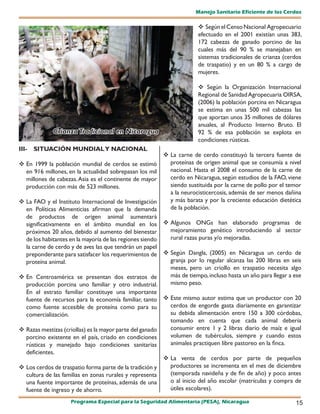 Manejo Sanitario Eficiente de los Cerdos

                                                                       Según el Censo Nacional Agropecuario
                                                                      efectuado en el 2001 existían unas 383,
                                                                      172 cabezas de ganado porcino de las
                                                                      cuales más del 90 % se manejaban en
                                                                      sistemas tradicionales de crianza (cerdos
                                                                      de traspatio) y en un 80 % a cargo de
                                                                      mujeres.

                                                                       Según la Organización Internacional
                                                                      Regional de Sanidad Agropecuaria OIRSA,
                                                                      (2006) la población porcina en Nicaragua
                                                                      se estima en unas 500 mil cabezas las
                                                                      que aportan unos 35 millones de dólares
                                                                      anuales, al Producto Interno Bruto. El
             Crianza Tradicional en Nicaragua                         92 % de esa población se explota en
                                                                      condiciones rústicas.
III-   SITUACIÓN MUNDIAL Y NACIONAL
                                                          La carne de cerdo constituyó la tercera fuente de
 En 1999 la población mundial de cerdos se estimó         proteínas de origen animal que se consumía a nivel
  en 916 millones, en la actualidad sobrepasan los mil     nacional. Hasta el 2008 el consumo de la carne de
  millones de cabezas. Asia es el continente de mayor      cerdo en Nicaragua, según estudios de la FAO, viene
  producción con más de 523 millones.                      siendo sustituida por la carne de pollo por el temor
                                                           a la neurocisticercosis, además de ser menos dañina
 La FAO y el Instituto Internacional de Investigación     y más barata y por la creciente educación dietética
  en Políticas Alimenticias afirman que la demanda         de la población.
  de productos de origen animal aumentará
  significativamente en el ámbito mundial en los  Algunos ONGs han elaborado programas de
  próximos 20 años, debido al aumento del bienestar        mejoramiento genético introduciendo al sector
  de los habitantes en la mayoría de las regiones siendo   rural razas puras y/o mejoradas.
  la carne de cerdo y de aves las que tendrán un papel
  preponderante para satisfacer los requerimientos de  Según Dangla, (2005) en Nicaragua un cerdo de
  proteína animal.                                         granja por lo regular alcanza las 200 libras en seis
                                                           meses, pero un criollo en traspatio necesita algo
 En Centroamérica se presentan dos estratos de            más de tiempo, incluso hasta un año para llegar a ese
  producción porcina uno familiar y otro industrial.       mismo peso.
  En el estrato familiar constituye una importante
  fuente de recursos para la economía familiar, tanto  Este mismo autor estima que un productor con 20
  como fuente accesible de proteína como para su           cerdos de engorde gasta diariamente en garantizar
  comercialización.                                        su debida alimentación entre 150 a 300 córdobas,
                                                           tomando en cuenta que cada animal debería
 Razas mestizas (criollas) es la mayor parte del ganado   consumir entre 1 y 2 libras diario de maíz e igual
  porcino existente en el país, criado en condiciones      volumen de tubérculos, siempre y cuando estos
  rústicas y manejado bajo condiciones sanitarias          animales practiquen libre pastoreo en la finca.
  deficientes.
                                                          La venta de cerdos por parte de pequeños
 Los cerdos de traspatio forma parte de la tradición y    productores se incrementa en el mes de diciembre
  cultura de las familias en zonas rurales y representa    (temporada navideña y de fin de año) y poco antes
  una fuente importante de proteínas, además de una        o al inicio del año escolar (matrículas y compra de
  fuente de ingreso y de ahorro.                           útiles escolares).

                    Programa Especial para la Seguridad Alimentaria (PESA), Nicaragua                        15
 