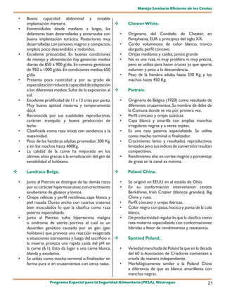 Manejo Sanitario Eficiente de los Cerdos

    •   Buena capacidad abdominal y notable
        implantación mamaria.                                   Chester White.
    •   Extremidades desde mediana a largas, las
        delanteras bien desarrolladas y encarnadas con       •   Originario del Condado de Chester, en
        buena implantación torácica. Posteriores muy             Pensylvania, EUA a principios del siglo XX.
        desarrolladas con jamones magros y compactos,        •   Cerdo voluminoso de color blanco, tronco
        amplios poco descendidos y redondos.                     alargado, perfil cóncavo.
    •   Excelente precocidad. En buenas condiciones          •   Orejas medianas y caídas, jamón grande
        de manejo y alimentación hay ganancias medias        •   No es una raza, ni muy prolífera ni muy precoz,
        diarias de 850 a 900 g/día. En centros genéticos         pero se utiliza para hacer cruces ya que aporta
        de 950 a 1000 g/día. En condiciones medias 650           volumen y peso a la descendencia.
        g/día.                                               •   Peso de la hembra adulta hasta 330 Kg. y los
    •   Presenta poca rusticidad y por su grado de               machos hasta 450 Kg.
        especialización reduce la capacidad de adaptación
        a los diferentes medios. Sufre de la exposición al      Pietrain.
        sol.
    •   Excelente prolificidad de 11 a 13 crías por parto.   •   Originaria de Bélgica (1920) como resultado de
        Muy buena aptitud materna y temperamento                 diferentes cruzamientos. Su nombre de debe de
        dócil.                                                   la Comuna donde se vio por primera vez.
    •   Reconocida por sus cualidades reproductivas,         •   Perfil cóncavo y orejas asiáticas.
        carácter tranquilo y buena producción de             •   Capa blanca y amarilla con amplias manchas
        leche.                                                   irregulares negras y a veces rojizas.
    •   Clasificada como raza mixta con tendencia a la       •   Es una raza paterna especializada. Se utiliza
        maternidad.                                              como macho terminal o finalizador.
    •   Peso de las hembras adultas promedian 300 Kg.        •   Crecimiento lento y resultados reproductivos
        y en los machos hasta 400Kg.                             limitados pero sus índices de conversión resultan
    •   La calidad de la carne ha mejorado en los                competitivos.
        últimos años gracias a la erradicación del gen de    •   Rendimiento alto en cortes magros y porcentaje
        sensibilidad al holótano.                                de grasa en la canal es mínima.

       Landrace Belga.                                         Poland China.

    •   Junto al Pietrain se distingue de las demás razas    •   Se originó en EEUU en el estado de Ohio.
        por su carácter hipermusculoso con crecimiento       •   En su conformación intervinieron cerdos
        exuberante de glúteos y lomos.                           Berkshires, Irish Crazier (blancos grandes), Big
    •   Orejas célticas y perfil rectilíneo, capa blanca y       China y ruso.
        piel rosada. Dorso ancho con cuartos traseros        •   Perfil cóncavo y orejas ibéricas.
        bien musculados lo que la clasifica como raza        •   Color negro con patas, hocico y punta de la cola
        paterna especializada.                                   blanca.
    •   Junto al Pietrain sufre hipertermia maligna          •   De productividad regular lo que la clasifica como
        o síndrome de estrés porcino el cual es un               raza materna especializada con conformaciones
        desorden genético causado por un gen (gen                híbridas a favor de rendimientos y resistencia.
        holótano) que provoca una reacción exagerada
        a situaciones estresantes y luego del sacrificio o      Spotted Poland.
        la muerte provoca una rápida caída del pH en
        la carne (6.1). Esto da lugar a una carne blanca,    •   Variedad manchada de Poland la que en la década
        blanda y exudativa.                                      del 60 la Asociación de Criadores comienzan a
    •   Se utiliza como macho terminal o finalizador en          criarla de manera independiente.
        forma pura o en cruzamientos con otras razas.        •   Morfológicamente similar a la Poland China
                                                                 a diferencia de que es blanco amarillenta con
                                                                 manchas negras.
                     Programa Especial para la Seguridad Alimentaria (PESA), Nicaragua                         21
 