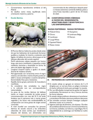 Manejo Sanitario Eficiente de los Cerdos

     •   Características reproductivas similares al del              concentrados de alta calidad para después pasar
         Poland.                                                     a crianzas extensivas comiendo bellotas, pasto y
     •   Se clasifica como mixta, equilibrada entre                  otras frutas naturales a partir de los 10 meses
         orientación materna y paterna.                              de edad.

        Cerdo Ibérico.                                       IX- CONFORMACIONES HÍBRIDAS
                                                                  A FAVOR DEL RENDIMIENTO,
                                                                  ADAPTABILIDAD Y RESISTENCIA A
                                                                  LAS ENFERMEDADES

                                                              RAZAS MATERNAS              RAZAS PATERNAS
                                                               Poland China               Hampshire
                                                               Duroc                      Landrasse Belga
                                                               Landrasse                  Pietrain
                                                               Large White
                                                               Spotted Poland
                                                               Razas mixtas


     •   El Porcino Ibérico habita los prados desde antes
         de que los habitantes de la península formaran
         pueblos y ciudades. Su historia y evolución está
         ligada a la bellota de encina y alcornoque en las
         dehesas alboradas del sureste español.
     •   Perfil subcóncavo, cabeza pequeña con hocico
         largo, ojos poco manifiestos y pequeños, orejas
         medianas, estrechas y levantadas en forma de
         alero de tejado algo pegada a la cara.
     •   Longitud corporal supera o iguala a la alzada.
         Animal de mediano tamaño.
     •   Piel pigmentada con variaciones entre el negro
         intenso y el colorado o retinto. El pelo puede ser
         débil o escaso (entrepelo) o ausente (lampiño).
         Extremidades finas pero resistentes.                 X-    PATRONES DE COMPORTAMIENTO
     •   Espalda, dorso, grupa y jamones de musculatura
         manifiesta.                                           En estado salvaje se agrupan en número de 5 a 8
     •   Se consideran dos variedades: La negra                 dirigidos por un verraco. Ante un peligro inminente
         y la colorada con sus correspondientes                 el macho enfrenta la lucha para proteger la manada.
         subvariedades.                                        Por sus dificultades transpiratorias gustan de lugares
     •   La grasa de los cerdos ibéricos de bellotas            sombreados. Permanecen en ríos y charcos durante
         tienen un mayor contenido de ácidos grasos             las horas calientes.
         monoinsaturados con más del 55 % de ácido             En estado salvaje prefieren alimentarse al anochecer
         linoleico que la aproxima más a ciertas grasas         y al atardecer. Períodos calurosos prefieren descansar.
         vegetales y las hacen más cardiosaludables en         Son animales curiosos siempre investigan cualquier
         comparación con otras grasas de origen animal          elemento nuevo en su entorno.
         conocidas.                                            Ingieren todo tipo de alimento, aún el pasto. El orden
     •   A nivel mundial son conocidos los jamones              de sus hábitos alimenticios son: omnívoros,herbívoros,
         ibéricos de secado natural y los embutidos             carnívoros, caníbales, carroñeros y coprófagos. Por la
         obtenidos de estos cerdos, que inicialmente            adaptabilidad de su estómago con fácilidad se vuelve
         después del destete, son alimentados con               salvaje.

22                    Programa Especial para la Seguridad Alimentaria (PESA), Nicaragua
 