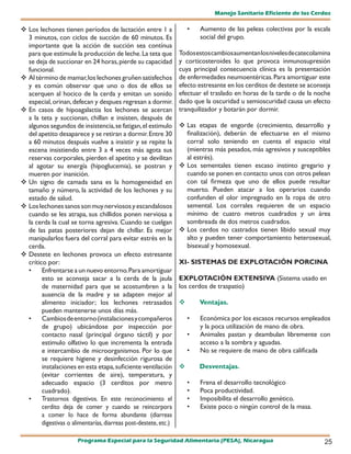 Manejo Sanitario Eficiente de los Cerdos

 Los lechones tienen períodos de lactación entre 1 a                 •   Aumento de las peleas colectivas por la escala
  3 minutos, con ciclos de succión de 60 minutos. Es                      social del grupo.
  importante que la acción de succión sea contínua
  para que estimule la producción de leche. La teta que           Todos estos cambios aumentan los niveles de catecolamina
  se deja de succionar en 24 horas, pierde su capacidad           y corticosteroides lo que provoca inmunosupresión
  funcional.                                                      cuya principal consecuencia clínica es la presentación
 Al término de mamar, los lechones gruñen satisfechos            de enfermedades neumoentéricas. Para amortiguar este
  y es común observar que uno o dos de ellos se                   efecto estresante en los cerditos de destete se aconseja
  acerquen al hocico de la cerda y emitan un sonido               efectuar el traslado en horas de la tarde o de la noche
  especial, orinan, defecan y despues regresan a dormir.          dado que la oscuridad u semioscuridad causa un efecto
 En casos de hipoagalactia los lechones se acercan               tranquilizador y botarán por dormir.
  a la teta y succionan, chillan e insisten, después de
  algunos segundos de insistencia, se fatigan, el estimulo         Las etapas de engorde (crecimiento, desarrollo y
  del apetito desaparece y se retiran a dormir. Entre 30            finalización), deberán de efectuarse en el mismo
  a 60 minutos después vuelve a insistir y se repite la             corral solo teniendo en cuenta el espacio vital
  escena insistiendo entre 3 a 4 veces más agota sus                (mientras más pesados, más agresivos y susceptibles
  reservas corporales, pierden el apetito y se devilitan            al estrés).
  al agotar su energía (hipoglucemia), se postran y               	 sementales tienen escaso instinto gregario y
                                                                    Los
  mueren por inanición.                                             cuando se ponen en contacto unos con otros pelean
 Un signo de camada sana es la homogeneidad en                     con tal firmeza que uno de ellos puede resultar
  tamaño y número, la actividad de los lechones y su                muerto. Pueden atacar a los operarios cuando
  estado de salud.                                                  confunden el olor impregnado en la ropa de otro
 Los lechones sanos son muy nerviosos y escandalosos               semental. Los corrales requieren de un espacio
  cuando se les atrapa, sus chillidos ponen nerviosa a              mínimo de cuatro metros cuadrados y un área
  la cerda la cual se torna agresiva. Cuando se cuelgan             sombreada de dos metros cuadrados.
  de las patas posteriores dejan de chillar. Es mejor             	 cerdos no castrados tienen libido sexual muy
                                                                    Los
  manipularlos fuera del corral para evitar estrés en la            alto y pueden tener comportamiento heterosexual,
  cerda.                                                            bisexual y homosexual.
 Destete en lechones provoca un efecto estresante
  crítico por:                                                    XI- SISTEMAS DE EXPLOTACIÓN PORCINA
  •     Enfrentarse a un nuevo entorno. Para amortiguar
        esto se aconseja sacar a la cerda de la jaula             EXPLOTACIÓN EXTENSIVA (Sistema usado en
        de maternidad para que se acostumbren a la                los cerdos de traspatio)
        ausencia de la madre y se adapten mejor al
        alimento iniciador; los lechones retrasados                      Ventajas.
        pueden mantenerse unos días más.
  •     Cambios de entorno (instalaciones y compañeros                •   Económica por los escasos recursos empleados
        de grupo) ubicándose por inspección por                           y la poca utilización de mano de obra.
        contacto nasal (principal órgano táctil) y por                •   Animales pastan y deambulan libremente con
        estimulo olfativo lo que incrementa la entrada                    acceso a la sombra y aguadas.
        e intercambio de microorganismos. Por lo que                  •   No se requiere de mano de obra calificada
        se requiere higiene y desinfección rigurosa de
        instalaciones en esta etapa, suficiente ventilación              Desventajas.
        (evitar corrientes de aire), temperatura, y
        adecuado espacio (3 cerditos por metro                        •   Frena el desarrollo tecnológico
        cuadrado).                                                    •   Poca productividad.
  •     Trastornos digestivos. En este reconocimiento el              •   Imposibilita el desarrollo genético.
        cerdito deja de comer y cuando se reincorpora                 •   Existe poco o ningún control de la masa.
        a comer lo hace de forma abundante (diarreas
        digestivas o alimentarías, diarreas post-destete, etc.)

                       Programa Especial para la Seguridad Alimentaria (PESA), Nicaragua                               25
 