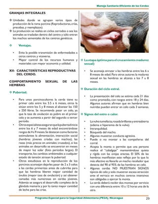 Manejo Sanitario Eficiente de los Cerdos

GRANJAS INTEGRALES

 Unidades donde se agrupan varios tipos de
  producción de la rama porcina (Reproductoras, crías,
  precebas, y reemplazos).
 La producción se realiza en ciclos cerrados o sea los
  animales se trasladan dentro del centro y sólo entran
  los machos sementales de los centros genéticos.

       Ventajas.

    •   Evita la posible transmisión de enfermedades a
        otros centros y viceversa.
    •   Mayor control de los recursos humanos y  La etapa óptima para el cruzamiento madurez
        materiales con mayor economía y utilidad.      sexual)

XII- CARACTERÍSTICAS REPRODUCTIVAS                           •    Se aconseja enrazar a las hembras entre los 6 a
     DEL CERDO.                                                   8 meses de edad. Para otros autores la madurez
                                                                  sexual en las hembras se alcanza a los 7 u 8
COMPORTAMIENTO               SEXUAL        DE     LAS             meses.
HEMBRAS
                                                           Duración del ciclo estral.
 Pubertad.
                                                            •   La presentación del celo se estima cada 21 días
    •   Para unos porcinocultores la cerda tiene su             como promedio, con rangos entre 18 y 24 días.
        primer celo entre los 5.5 a 6 meses, otros la           Algunos autores afirman que en hembras bien
        sitúan entre los 5 y 8 meses al alcanzar las 150        nutridas pueden entrar en celo cada 3 semanas.
        a 250 libras. Se recomienda pasar un celo, ya
        que la tasa de ovulación es pobre en el primer 	   Signos del estro o calor.
        celo y se aumenta a partir del segundo o tercer
        período.                                            •   La vulva tumefacta,rosada brillante y entreabierta
    •   Otros especialistas aseguran que la pubertad inicia     (edema e hiperemia de la vulva).
        entre los 6 y 7 meses de edad encontrándose         •   Intranquilidad.
        rangos de 4 a 9 meses. Se destacan como factores    •   Búsqueda del macho.
        estimulantes la alimentación, interacción social    •   Algunas muestran conducta agresiva.
        (hembras jóvenes criadas con machos), las           •   Puede o no montar a las compañeras del
        razas (más precoz en animales cruzados), si los         corral.
        animales en desarrollo se encuentran en meses       •   Acepta la monta o permite que una persona
        de mayor luz solar (foto períodos largos). El           realice el “cabalgaje” manteniéndose quieta
        transporte, los cambios ambientales o cualquier         y rígida con las orejas erectas. El 50% de las
        estado de tensión atrasan la pubertad.                  hembras manifiestan este reflejo por lo que lo
    •   Otros estudiosos en la reproducción de los              más efectivo es llevarle un macho recelador que
        porcinos aconsejan dejarles pasar de 2 a 3 celos        detecta del 90 al 95% de las hembras en celo.
        a las cerdas primerizas antes de cubrirlas para     •   Algunas cerdas NO MUESTRAN SIGNOS
        que las hembras liberen mayor cantidad de               típicos de celo y solo muestran escasa atracción
        óvulos (mayor tasa de ovulación) y así obtener          ante el verraco en muchos centros intensivos
        camadas más numerosas en cerdas jóvenes.                son obligadas a ejercer la monta.
        Además se asegura el desarrollo completo de la      •   La cerda deberá recibir dos montas por servicio
        glándula mamaria y por lo tanto mayor cantidad          con una diferencia entre 10 a 12 horas una de la
        de leche para las crías.                                otra.

                     Programa Especial para la Seguridad Alimentaria (PESA), Nicaragua                         29
 