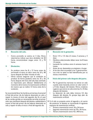 Manejo Sanitario Eficiente de los Cerdos




        Duración del celo.                                     Duración de la gestación.

     •   Como promedio se estima en 2 días. Otros            •   Entre 114 a 115 días (3 meses, 3 semanas y 3
         veterinarios indican que dura alrededor de 50           días)
         horas, encontrándose rangos entre 12 y 70           •   Hembras seleccionadas deben tener de 8 hasta
         horas.                                                  14 mamas.
                                                             •   Lactando los cerditos entre 6 semanas hasta 2
        Ovulación.                                              meses.
                                                             •   Antes de ser destetados ya empiezan a hurgar.
     •   Se produce entre las 8 y 12 horas antes de          •   A los dos años se pueden criar 3 generaciones
         terminado el estro, es decir entre las 24 y 48      •   Los crías no aptas es fácil identificarlas por su
         horas después de haber iniciado el celo.                escaso crecimiento
     •   Otros autores aseguran que la ovulación se
         produce de forma paulatina entre las 35 y 36           Inicio del primer celo después del parto.
         horas después del inicio del celo. Este estimado
         es importante para efectuar debidamente el       •      Por lo general las marranas no entran en celo
         momento de la monta o la inseminación artificial        cuando están lactando, entran en calor entre 3
         de manera que se realice 12 horas antes de la           y 8 días después del destete. Otros criadores
         ovulación.                                              sugieren que entran en celo entre los 3 a 10 días
                                                                 después del destete.
Se recomienda llevar las hembras primerizas al semental     •    La detección de celo debe iniciarse 2.5 días
al final del primer día de haberse detectado en celo y           después del destete. En granjas bajo plan de
repetir la monta al inicio del segundo día. En el caso           inseminación artificial.
de las cerdas paridas se recomienda servirlas al primer
calor que manifieste después del destete, realizándole la  Si el celo se presenta entre el segundo y el cuarto
monta al final del primer día de haberse detectado en       día posterior al destete se recomienda el siguiente
celo y repetir el salto al inicio o final del segundo día.  esquema de inseminación artificial.
                                                            •    Primera inseminación entre 18 y 24 horas.
                                                            •    Segunda inseminación entre las 30 a 36 horas.
                                                            •    Tercera inseminación entre 42 a 48 horas.

30                    Programa Especial para la Seguridad Alimentaria (PESA), Nicaragua
 