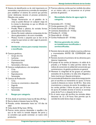 Manejo Sanitario Eficiente de los Cerdos

 Sistema de identificación es de vital importancia en
	                                                       Puercas cubiertas, cerdas que han recibido dos saltos
                                                        	
 sementales y reproductoras y animales de reemplazo      en un mismo celo y se encuentran en el primer
 para establecer el sistema de control que permita       período de gestación.
 tomar dediciones durante el proceso productivo.
 Métodos más usados:                                          Necesidades diarias de agua según la
 •    Tatuaje: Numeración: en el pabellón de la                categoría.
      oreja se puede efectuar en cualquier etapa de
      la crianza la desventaja es que se dificulta en    Sementales (10 – 15 l/día)
      cerdos pigmentados.                                Cerdas gestantes (10 – 17 l/día)
 •    Presilla: Metal o plástico, de variadas formas     Cerdas lactantes (20 – 30 l/día)
      generalmente dos láminas.                          Lechones destetados (2 – 4 l/día)
 •    Aretes: De metal o plásticas compuestas de dos     Precebas (4 – 6 l/día)
      discos galvanizados o de acero inoxidable.        	Desarrollo (6 – 8 l/día)
 •    Muesca: Cortes o piquetes que se dan en las        Cerdos finalización (8 – 10 l/día)
      orejas los que toman un valor según la posición
      en la oreja.                                            Normas generales de rutina
                                                               en instalaciones tecnificadas o
      Unidad de crianza para manejo intensivo                 semitecnificadas.
       o tecnificado.
                                                         Revisión diaria de todo el rebaño, muertos, enfermos
 Centros genéticos                                       y traumatizados ANTES DE COMENZAR toda
  •   Grupo de crías                                      jornada.
  •   Lechonas                                           Revisión durante el suministro de los alimentos para
  •   Cochinatos (atas)                                   detectar inapetentes.
  •   Reproductoras                                     	 pesaje de los cerdos (al destete, a la salida de la
                                                          El
  •   Sementales o Verracos                               preceba y al finalizar la ceba) permite valorar los
 Centros multiplicadores o de reemplazos                 índices de conversión, la calidad del concentrado que
  •   Crías                                               suministramos y la gestión productiva en general.
  •   Lechonas                                           Mantener la integridad de los grupos en períodos
  •   Reproductoras                                       avanzados de la preceba y la ceba evita desgastes y
  •   Sementales                                          hasta muertes por disputas jerárquicas.
 Centros de Producción                                  Los animales de finalización, antes de la transportación
  •   Crías                                               para el sacrificio se mantendrán en ayuno 12 horas
  •   Cerdos en crecimiento o desarrollo                  cuando la distancia es menor de 60 Km. Esto evita
  •   Engorde                                             traumatismos y excesos de estrés. Se establece que
  •   Reproductoras                                       los cerdos pierden 3 libras de peso por 24 horas
  •   Sementales                                          de ayuno. El traslado durante el verano se aconseja
                                                          antes de las 9 a.m. o después de las 5 p.m.
      Rangos por categoría.                             En el rastro antes del sacrificio los animales deben
                                                          descansar de 12 a 24 horas. Esto permite que la
	 desde el nacimiento hasta los 60 días (45 Kg.)
  Cría,                                                   cantidad de ácido láctico baje en sangre.
 Recría, desde el destete hasta los 50 Kg.
 Preceba, cerdos destetados hasta los 110 días de
  edad
 Ceba, desde 50 Kg. hasta 100 Kg.
 Puercas vacías, puercas destetadas o aquellas a las
  que se les retiró la camada después del parto y
  se considera que puede comenzar un nuevo ciclo
  productivo.

                   Programa Especial para la Seguridad Alimentaria (PESA), Nicaragua                           33
 