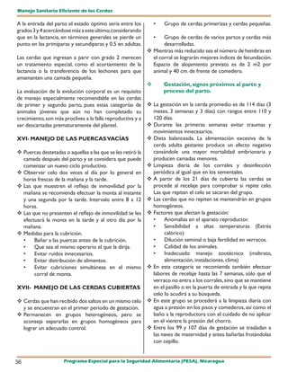 Manejo Sanitario Eficiente de los Cerdos

A la entrada del parto el estado óptimo sería entre los       •    Grupo de cerdas primerizas y cerdas pequeñas.
grados 3 y 4 acercándose más a este último, considerando
que en la lactancia, en términos generales se pierde un       •   Grupo de cerdas de varios partos y cerdas más
punto en las primíparas y secundíparas y 0.5 en adultas.          desarrolladas.
                                                            Mientras más reducido sea el número de hembras en
Las cerdas que ingresan a parir con grado 2 merecen          el corral se lograrán mejores índices de fecundación.
un tratamiento especial, como el acortamiento de la          Espacio de alojamiento previsto es de 2 m2 por
lactancia o la transferencia de los lechones para que        animal y 40 cm. de frente de comedero.
amamanten una camada pequeña.
                                                                 Gestación, sígnos próximos al parto y
La evaluación de la evolución corporal es un requisito            proceso del parto.
de manejo especialmente recomendable en las cerdas
de primer y segundo parto, pues estas categorías de  La gestación en la cerda promedio es de 114 días (3
animales jóvenes que aún no han completado su                meses, 3 semanas y 3 días) con rangos entre 110 y
crecimiento, son más proclives a la falla reproductiva y a   120 días.
ser descartadas prematuramente del plantel.                 Durante las primeras semanas evitar traumas y
                                                             movimientos innecesarios.
XVI- MANEJO DE LAS PUERCAS VACÍAS                           Dieta balanceada. La alimentación excesiva de la
                                                             cerda adulta gestante produce un efecto negativo
 Puercas destetadas o aquellas a las que se les retiró la   cansándole una mayor mortalidad embrionaria y
   camada después del parto y se considera que puede         producen camadas menores.
   comenzar un nuevo ciclo productivo.                      Limpieza diaria de los corrales y desinfección
 Observar celo dos veces al día por lo general en           periódica al igual que en los sementales.
   horas frescas de la mañana y la tarde.                   A partir de los 21 días de cubierta las cerdas se
 Las que muestren el reflejo de inmovilidad por la          procede al recelaje para comprobar si repite celo.
   mañana se recomienda efectuar la monta al instante        Las que repitan el celo se sacaran del grupo.
   y una segunda por la tarde. Intervalo entre 8 a 12       Las cerdas que no repiten se mantendrán en grupos
   horas.                                                    homogéneos.
 Las que no presenten el reflejo de inmovilidad se les  Factores que afectan la gestación:
   efectuará la monta en la tarde y al otro día por la       •    Anomalías en el aparato reproductor.
   mañana.                                                   •    Sensibilidad a altas temperaturas (Estrés
 Medidas para la cubrición.                                      calórico)
   •    Bañar a las puercas antes de la cubrición.           •    Dilución seminal o baja fertilidad en verracos.
   •    Que sea el mismo operario el que la dirija.          •    Calidad de los animales.
   •    Evitar ruidos innecesarios.                          •    Inadecuado manejo zootécnico (maltrato,
   •    Evitar distribución de alimentos.                         alimentación, instalaciones, clima)
   •    Evitar cubriciones simultáneas en el mismo          En esta categoría se recomienda también efectuar
        corral de monta.                                     labores de recelaje hasta las 7 semanas, sólo que el
                                                             verraco no entra a los corrales, sino que se mantiene
XVII- MANEJO DE LAS CERDAS CUBIERTAS                         en el pasillo o en la puerta de entrada y la que repita
                                                             celo lo acudirá a su búsqueda.
 Cerdas que han recibido dos saltos en un mismo celo       En este grupo se procederá a la limpieza diaria con
   y se encuentran en el primer período de gestación.        agua a presión en los pisos y comederos, así como el
 Permanecen en grupos heterogéneos, pero se                 baño a la reproductora con el cuidado de no aplicar
   aconseja separarlas en grupos homogéneos para             en el vientre la presión del chorro.
   lograr un adecuado control.                              Entre los 99 y 107 días de gestación se trasladan a
                                                             las naves de maternidad y antes bañarlas frotándolas
                                                             con cepillo.


36                   Programa Especial para la Seguridad Alimentaria (PESA), Nicaragua
 