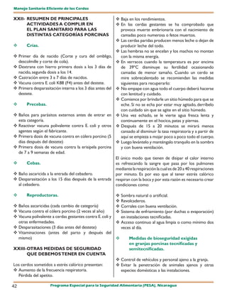 Manejo Sanitario Eficiente de los Cerdos

XXII- RESUMEN DE PRINCIPALES                                Baja en los rendimientos.
      ACTIVIDADES A COMPLIR EN                              En las cerdas gestantes se ha comprobado que
      EL PLAN SANITARIO PARA LAS                             provoca muerte embrionaria con el nacimiento de
      DISTINTAS CATEGORÍAS PORCINAS                          camadas poco numerosa o fetos muertos.
                                                            Las cerdas paridas producen menos leche o dejan de
      Crías.                                                producir leche del todo.
                                                            Las hembras no se encelan y los machos no montan
 Primer día de nacido (Corte y cura del ombligo,            con la misma energía.
  descolmille y corte de cola).                             En verracos cuando la temperatura es por encima
 Dextrana con hierro primera dosis a los 3 días de          de 39ºC disminuye su fertilidad ocasionando
  nacido, segunda dosis a los 14.                            camadas de menor tamaño. Cuando un cerdo se
 Castración entre 3 a 7 días de nacidos.                    mire sobrecalentado se recomiendan las medidas
	Vacuna contra E. coli K88 (F4) antes del destete.          siguientes para recuperarlo:
 Primera desparasitación interna a los 3 días antes del    No empape con agua todo el cuerpo deberá hacerse
  destete.                                                   con lentitud y cuidado.
                                                            Comience por brindarle un sitio húmedo para que se
      Precebas.                                             eche. Si no se echa por estar muy agitado, derríbelo
                                                             con cuidado sin que se agite en el sitio húmedo.
 Baños para parásitos externos antes de entrar en          Una vez echado, se le vierte agua fresca lenta y
  esta categoría.                                            continuamente en el hocico, patas y piernas.
 Reactivar vacuna polivalente contra E. coli y otros       Después de 15 a 20 minutos se mirará menos
  agentes según el fabricante.                               cansado al disminuir la tasa respiratoria y a partir de
 Primera dosis de vacuna contra en cólera porcino (5        aquí se empieza a mojar poco a poco todo el cuerpo.
  días después del destete)                                 Luego levántelo y manténgalo tranquilo en la sombra
 Primera dosis de vacuna contra la erisipela porcina        y con buena ventilación.
  de 7 a 9 semanas de edad.
                                                      El único modo que tienen de disipar el calor interno
      Cebas.                                         es refrescando la sangre que pasa por los pulmones
                                                      mediante la respiración la cual es de 20 a 40 respiraciones
 Baño ascaricida a la entrada del cebadero.          por minuto. Es por eso que al tener estrés calórico
	Desparasitación a los 15 días después de la entrada respiran con la boca y por esta razón es necesario crear
  al cebadero.                                        condiciones como:

      Reproductoras.                                     Sombra natural o artificial.
                                                          Revolcaderos.
 Baños ascaricidas (cada cambio de categoría)            Corrales con buena ventilación.
 Vacuna contra el cólera porcino (2 veces al año)        Sistema de enfriamiento (por duchas o evaporación)
 Vacuna polivalente a cerdas gestantes contra E. coli y   en instalaciones tecnificadas.
  otras enfermedades.                                    	Acceso continuo al agua limpia o como mínimo dos
 Desparasitaciones (3 días antes del destete)             veces al día.
 Vitaminaciones (antes del parto y después del
  mismo)                                                       Medidas de bíoseguridad exigidas
                                                                en granjas porcinas tecnificadas y
XXIII- OTRAS MEDIDAS DE SEGURIDAD                               semitecnificadas.
       QUE DEBEMOS TENER EN CUENTA
                                                          Control de vehículos y personal ajeno a la granja.
Los cerdos sometidos a estrés calórico presentan:         Evitar la penetración de animales ajenos y otras
 Aumento de la frecuencia respiratoria.                   especies domésticas a las instalaciones.
  Pérdida del apetito.

42                   Programa Especial para la Seguridad Alimentaria (PESA), Nicaragua
 