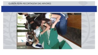 QUINTA-FEIRA RECORTAGEM DAS ARVORES
 