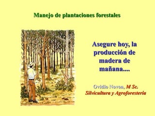 Manejo de plantaciones forestales
Asegure hoy, la
producción de
madera de
mañana....
Ovidio Novoa, M Sc.
Silvicultura y Agroforestería
 