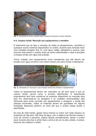 10
Fig. 4. Utilização do lança chamas para a queima de penas e outros resíduos
4.4. Limpeza úmida: Remoção dos equipamentos e utensílios
É importante que se faça a remoção de todos os equipamentos, utensílios e
quaisquer outros materiais depositados no aviário. Durante esta remoção fazer
uma completa lavagem (Fig. 5), com água, sabão, detergente e escova, para
remover toda poeira e crostas antes de serem desinfetados o ideal é proceder
a limpeza úmida com água sob pressão.
Tomar cuidado com equipamentos como campânulas que não devem ser
lavados com água corrente e sim serem limpos com pano úmido e detergente.
Fig. 5. Utilização do “lava jato” para limpeza úmida dos aviários e equipamentos
Todos os equipamentos devem ser colocados ao sol para secar e que ao
mesmo tempo servirá como a primeira desinfecção. A desinfecção
propriamente será feita usando-se os produtos disponíveis no mercado para
este fim observando-se as dosagens e os cuidados recomendados pelo
fabricante para evitar corrosão aos equipamentos e assegurar a saúde das
pessoas envolvidas. Todos os materiais devem ser guardados em alguma
instalação disponível próximo ao local até que o aviário esteja lavado e
desinfetado.
Em piso de chão batido, passar lança chamas ou tratar com soda cáustica na
proporção de 3kg para 100 litros de água, com o objetivo de eliminar insetos e
ovos de vermes e parasitas. Depois desses procedimentos, deixar o aviário
secar durante dois dias e então fazer a pintura de cal no piso, pilares, muretas,
tesouras (de madeira) e telhas.
Foto:JoãoA.Pissaia
Foto:JoãoA.Pissaia
 
