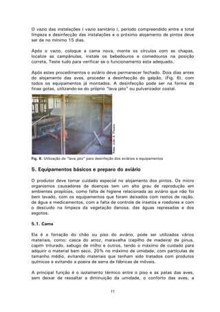 11
O vazio das instalações ( vazio sanitário ), período compreendido entre a total
limpeza e desinfecção das instalações e o próximo alojamento de pintos deve
ser de no mínimo 15 dias.
Após o vazio, coloque a cama nova, monte os círculos com as chapas,
localize as campânulas, instale os bebedouros e comedouros na posição
correta, Teste tudo para verificar se o funcionamento esta adequado.
Após estes procedimentos o aviário deve permanecer fechado. Dois dias antes
do alojamento das aves, proceder a desinfecção do galpão, (Fig. 6), com
todos os equipamentos já montados. A desinfecção pode ser na forma de
finas gotas, utilizando-se do próprio “lava jato” ou pulverizador costal.
Fig. 6. Utilização do “lava jato” para desinfeção dos aviários e equipamentos
5. Equipamentos básicos e preparo do aviário
O produtor deve tomar cuidado especial no alojamento dos pintos. Os micro
organismos causadores de doenças tem um alto grau de reprodução em
ambientes propícios, como falta de higiene relacionada ao aviário que não foi
bem lavado, com os equipamentos que foram deixados com restos de ração,
de água e medicamentos, com a falta de controle de insetos e roedores e com
o descuido na limpeza da vegetação danosa, das águas represadas e dos
esgotos.
5.1. Cama
Ela é a forração do chão ou piso do aviário, pode ser utilizados vários
materiais, como: casca do arroz, maravalha (cepilho de madeira) de pinus,
capim triturado, sabugo de milho e outros, tendo o máximo de cuidado para
adquirir o material bem seco, 20% no máximo de umidade, com partículas de
tamanho médio, evitando materiais que tenham sido tratados com produtos
químicos e evitando a poeira de serra de fábricas de móveis.
A principal função é o isolamento térmico entre o piso e as patas das aves,
sem deixar de ressaltar a diminuição da umidade, o conforto das aves, a
Foto:JoãoA.Pissaia
 