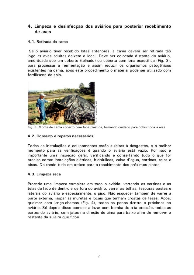 Frango de corte pdf converter