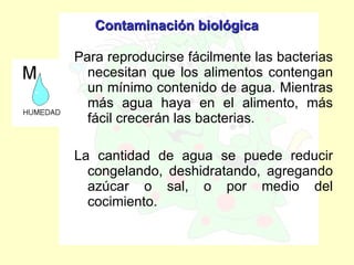Contaminación biológica Para reproducirse fácilmente las bacterias necesitan que los alimentos contengan un mínimo contenido de agua. Mientras más agua haya en el alimento, más fácil crecerán las bacterias.  La cantidad de agua se puede reducir congelando, deshidratando, agregando azúcar o sal, o por medio del cocimiento. 