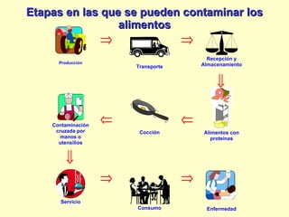 Etapas en las que se pueden contaminar los alimentos 