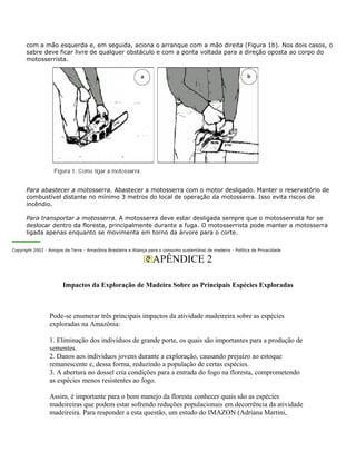 com a mão esquerda e, em seguida, aciona o arranque com a mão direita (Figura 1b). Nos dois casos, o
sabre deve ficar livre de qualquer obstáculo e com a ponta voltada para a direção oposta ao corpo do
motosserrista.
Para abastecer a motosserra. Abastecer a motosserra com o motor desligado. Manter o reservatório de
combustível distante no mínimo 3 metros do local de operação da motosserra. Isso evita riscos de
incêndio.
Para transportar a motosserra. A motosserra deve estar desligada sempre que o motosserrista for se
deslocar dentro da floresta, principalmente durante a fuga. O motosserrista pode manter a motosserra
ligada apenas enquanto se movimenta em torno da árvore para o corte.
Copyright 2002 - Amigos da Terra - Amazônia Brasileira e Aliança para o consumo sustentável de madeira - Política de Privacidade
APÊNDICE 2
Impactos da Exploração de Madeira Sobre as Principais Espécies Exploradas
Pode-se enumerar três principais impactos da atividade madeireira sobre as espécies
exploradas na Amazônia:
1. Eliminação dos indivíduos de grande porte, os quais são importantes para a produção de
sementes.
2. Danos aos indivíduos jovens durante a exploração, causando prejuízo ao estoque
remanescente e, dessa forma, reduzindo a população de certas espécies.
3. A abertura no dossel cria condições para a entrada do fogo na floresta, comprometendo
as espécies menos resistentes ao fogo.
Assim, é importante para o bom manejo da floresta conhecer quais são as espécies
madeireiras que podem estar sofrendo reduções populacionais em decorrência da atividade
madeireira. Para responder a esta questão, um estudo do IMAZON (Adriana Martini,
 