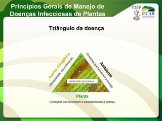 Triângulo da doença
Planta
Condições que favorecem a susceptibilidade à doença
EXPRESSÃO DA DOENÇA
Princípios Gerais de Manejo de
Doenças Infecciosas de Plantas
 