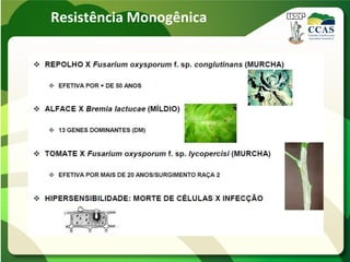 Resistência Monogênica
 