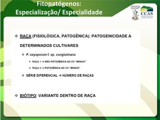Fitopatógenos:
Especialização/ Especialidade
 
