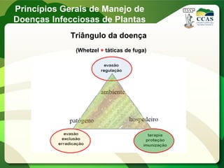 Triângulo da doença
(Whetzel + táticas de fuga)
Princípios Gerais de Manejo de
Doenças Infecciosas de Plantas
 