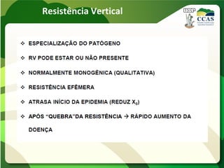 Resistência Vertical
 