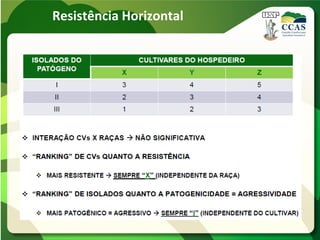 Resistência Horizontal
 