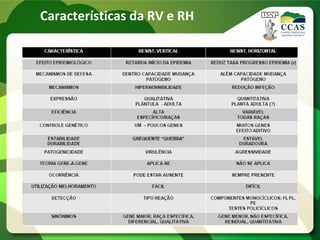 Características da RV e RH
 