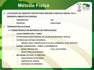  UTILIZAÇÃO DE AGENTES FÍSICOS PARA REDUZIR O INÓCULO INICIAL OU O
DESENVOLVIMENTO DA DOENÇA
• TEMPERATURA LUZ
• RADIAÇÃO VENTILAÇÃO
1. TEMPERATURA ELEVADA
1.1 TERMOTERAPIA EM MATERIAIS DE PROPAGAÇÃO
• CALOR TEMPERATURA – TEMPO
• FITOPATÓGENO MAIS SENSÍVEL AO CALOR QUE MATERIAL VEGETAL
• FATORES QUE AFETAM A EFICIÊNCIA
• UMIDADE, IDADE, TEMPERATURA DE CULTIVO, DORMÊNCIA, VIGOR, GENÓTIPO
• BINÔMIO TEMPERATURA – TEMPO  EXPERIMENTAL
• MENOR TEMPERATURA LETAL AO PATÓGENO
• MENOR TEMPO DE EXPOSIÇÃO
• MECANISMO DE AÇÃO  COMPLEXO
• DENATURAÇÃO DE PROTEÍNAS
• LIBERAÇÃO DE LIPÍDEOS
• DESTRUIÇÃO DE HORMÔNIOS
Método Físico
 