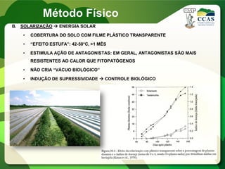 B. SOLARIZAÇÃO  ENERGIA SOLAR
• COBERTURA DO SOLO COM FILME PLÁSTICO TRANSPARENTE
• “EFEITO ESTUFA”: 42-50°C, >1 MÊS
• ESTIMULA AÇÃO DE ANTAGONISTAS: EM GERAL, ANTAGONISTAS SÃO MAIS
RESISTENTES AO CALOR QUE FITOPATÓGENOS
• NÃO CRIA “VÁCUO BIOLÓGICO”
• INDUÇÃO DE SUPRESSIVIDADE  CONTROLE BIOLÓGICO
Método Físico
 