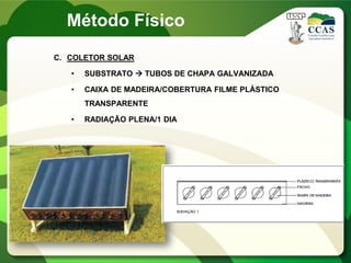 C. COLETOR SOLAR
• SUBSTRATO  TUBOS DE CHAPA GALVANIZADA
• CAIXA DE MADEIRA/COBERTURA FILME PLÁSTICO
TRANSPARENTE
• RADIAÇÃO PLENA/1 DIA
Método Físico
 