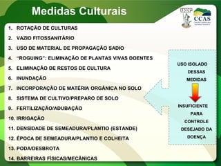 1. ROTAÇÃO DE CULTURAS
2. VAZIO FITOSSANITÁRIO
3. USO DE MATERIAL DE PROPAGAÇÃO SADIO
4. “ROGUING”: ELIMINAÇÃO DE PLANTAS VIVAS DOENTES
5. ELIMINAÇÃO DE RESTOS DE CULTURA
6. INUNDAÇÃO
7. INCORPORAÇÃO DE MATÉRIA ORGÂNICA NO SOLO
8. SISTEMA DE CULTIVO/PREPARO DE SOLO
9. FERTILIZAÇÃO/ADUBAÇÃO
10. IRRIGAÇÃO
11. DENSIDADE DE SEMEADURA/PLANTIO (ESTANDE)
12. ÉPOCA DE SEMEADURA/PLANTIO E COLHEITA
13. PODA/DESBROTA
14. BARREIRAS FÍSICAS/MECÂNICAS
USO ISOLADO
DESSAS
MEDIDAS
INSUFICIENTE
PARA
CONTROLE
DESEJADO DA
DOENÇA
Medidas Culturais
 