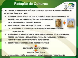  CULTIVO ALTERNADO DE ESPÉCIES VEGETAIS DIFERENTES NO MESMO LOCAL
NA MESMA ÉPOCA DO ANO
 SUCESSÃO DE CULTURAS: CULTIVO ALTERNADO DE DIFERENTES ESPÉCIES, NO
MESMO LOCAL, EM DIFERENTES ÉPOCAS DO ANO/ESTAÇÕES
EX: SOJA NO VERÃO  TRIGO NO INVERNO
 PRINCÍPIOS DE CONTROLE NA ROTAÇÃO DE CULTURAS
 SUPRESSÃO OU ELIMINAÇAO DE SUBSTRATO APROPRIADO PARA O
FITOPATÓGENO
 AUSÊNCIA DA PLANTA CULTIVADA ANUAL (INCLUSIVE PLANTAS VOLUNTÁRIAS E
RESTOS CULTURAIS)  ERRADICAÇÃO (TOTAL OU PARCIAL) DE PATÓGENOS
NECROTRÓFICOS NUTRICIONALMENTE DEPENDENTES
 DECOMPOSIÇÃO MICROBIANA DE RESTOS CULTURAIS
 INTENSA COMPETIÇÃO MICROBIANA  DESVANTAGEM DO FITOPATÓGENO
Rotação de Culturas
DESTRUIÇÃO DO FITOPATÓGENO
CONTROLE BIOLÓGICO
 