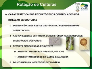  CARACTERÍSTICA DOS FITOPATÓGENOS CONTROLADOS POR
ROTAÇÃO DE CULTURAS
 SOBREVIVÊNCIA EM RESTOS CULTURAIS DO HOSPEDEIRO/MAUS
COMPETIDORES
 NÃO APRESENTAM ESTRUTURA DE RESISTÊNCIA (CLAMIDÓSPOROS,
ESCLERÓDIOS, OÓSPOROS)
 RESTRITA DISSEMINAÇÃO PELO VENTO
 APRESENTAM ESPOROS GRANDES, PESADOS
 APRESENTAM ESPOROS EM MATRIZ GELATINOSA
 POUCOS/NENHUM HOSPEDEIRO SECUNDÁRIO
Rotação de Culturas
 